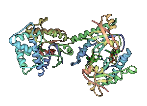 G-Protein
